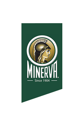 minerva1
